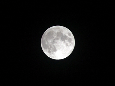 b0067598_016850.jpg