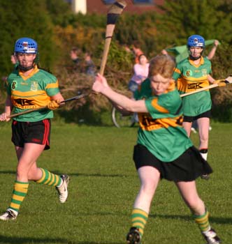 アイリッシュの熱くなるスポーツ シャムロックとうさぎ From Ireland アイリッシュの熱くなるスポーツ シャムロックとうさぎ From Ireland
