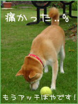 c0060620_7431612.jpg