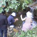 c0030327_23382716.jpg