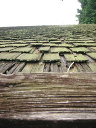 d0040729_2342111.jpg
