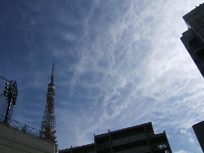 東京タワー&網目な雲_e0071641_031163.jpg