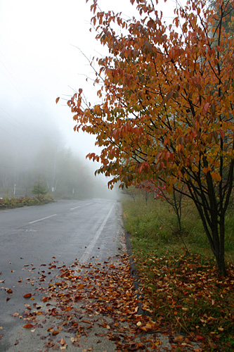 b0067346_14901.jpg