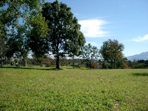 a0040103_22394963.jpg