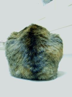 a0027720_15393032.jpg