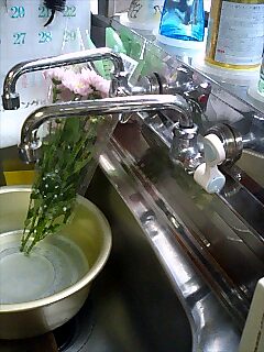 e0091220_1514255.jpg