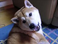 2日間に。。。_c0049950_029961.jpg