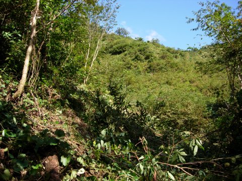 c0016259_054344.jpg