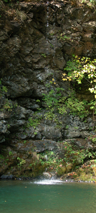 e0071764_06488.jpg