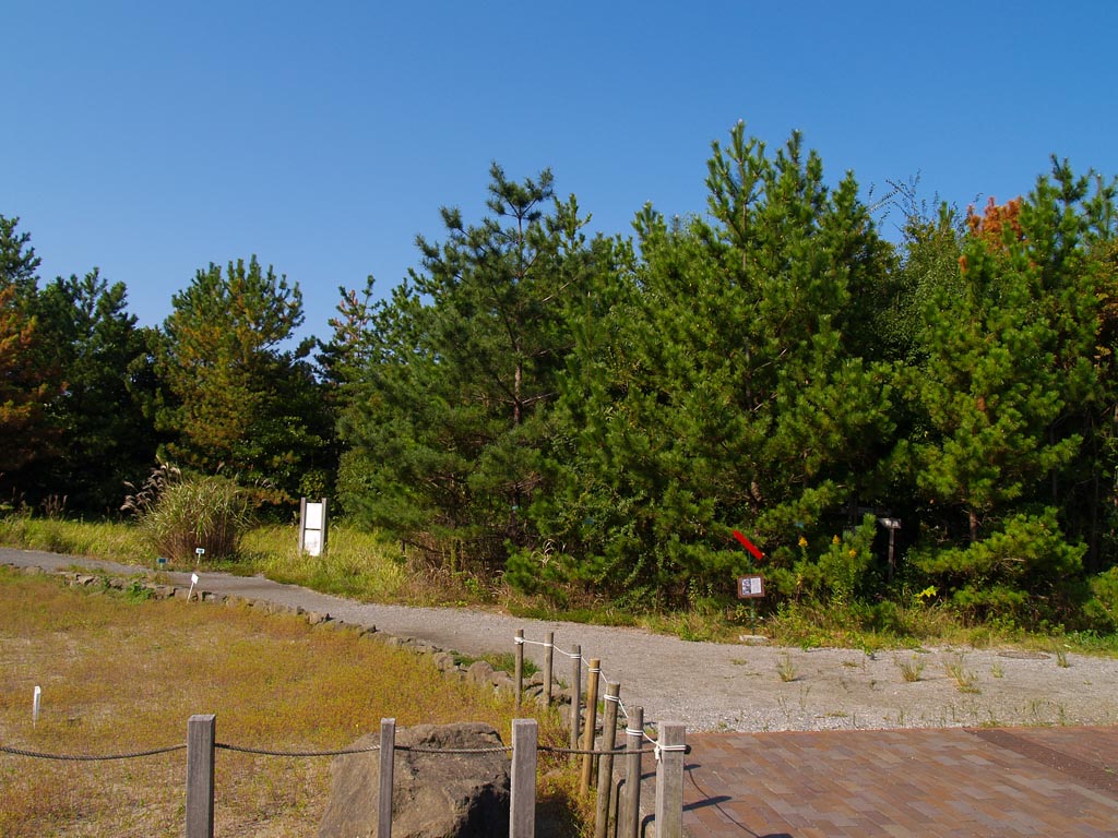 e0071178_19215139.jpg