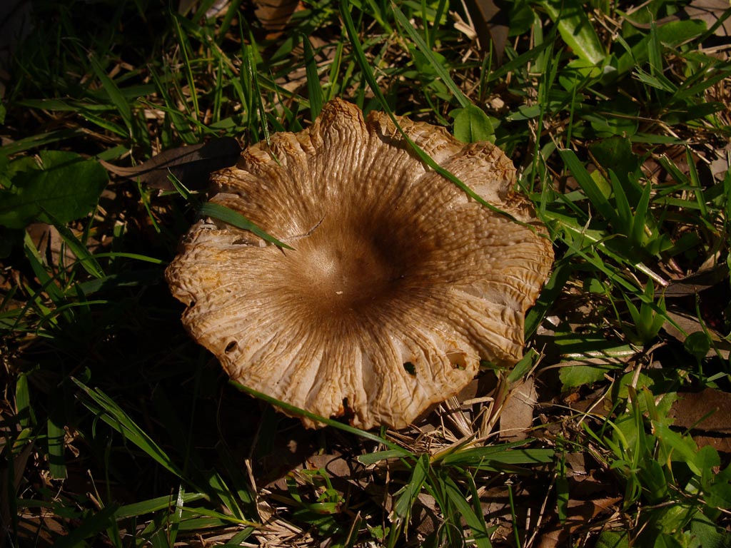 e0071178_2202548.jpg