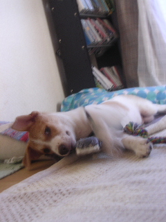 c0065643_1521158.jpg