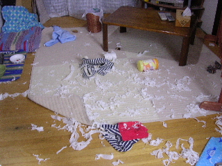 c0065643_1552872.jpg