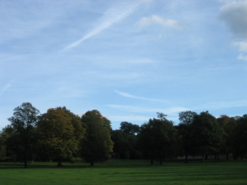 e0086048_3175260.jpg