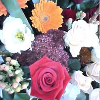 e0038669_1583313.jpg