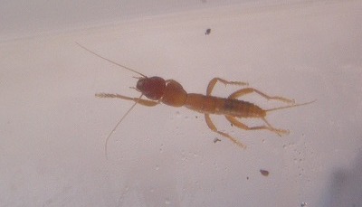 d0019074_19295976.jpg