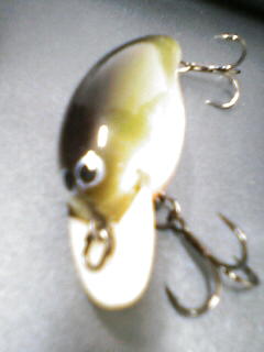 リップ_a0040876_20375885.jpg