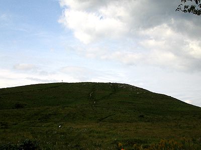a0011482_20504332.jpg