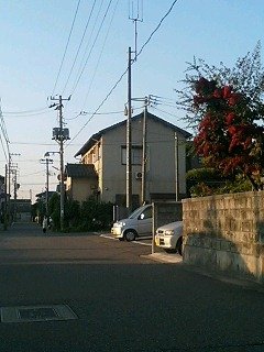 d0056298_9202495.jpg