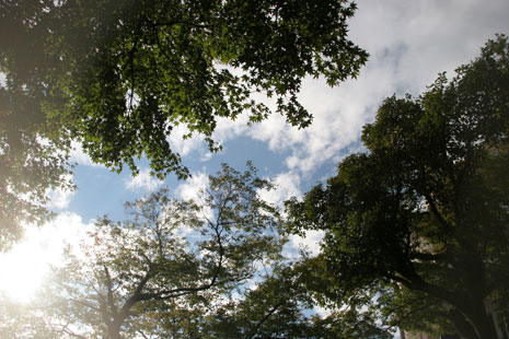 a0020010_21503532.jpg