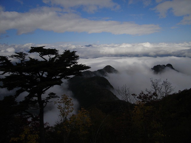 Oh climb! この秋その②_d0065332_22194624.jpg