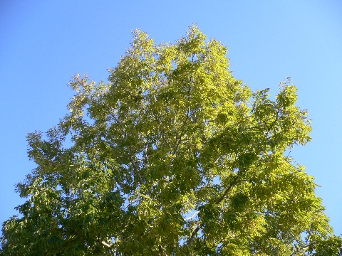 b0068572_4113473.jpg