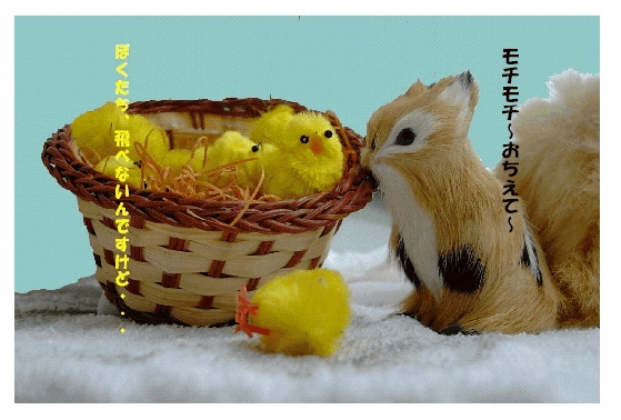 c0039376_14153944.gif