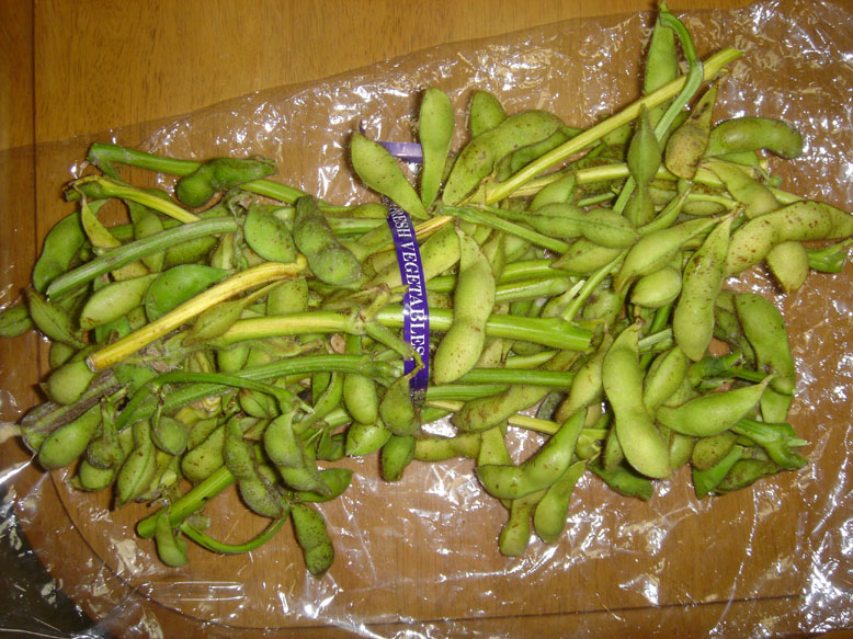 a0004180_21515545.jpg