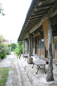 c0041992_24147.jpg