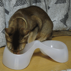 a0009397_2045655.gif