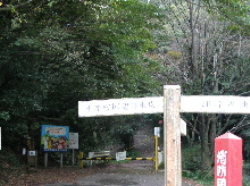 c0036203_21114447.jpg