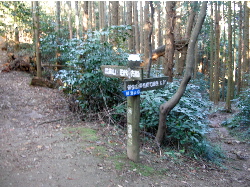 c0036203_21552472.jpg