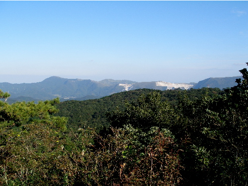 c0036203_22403838.jpg