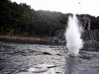 b0069604_9573839.jpg