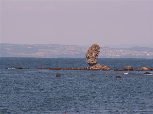 e0069622_16325494.jpg
