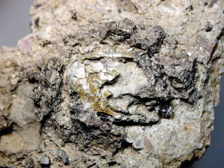 d0045626_8232561.jpg