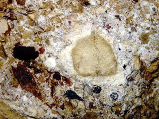 d0045626_8235671.jpg
