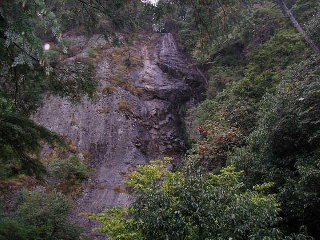 c0029332_2336417.jpg