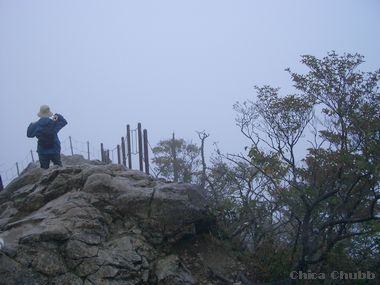 大台ケ原名物の雨と霧。_c0024552_22425166.jpg