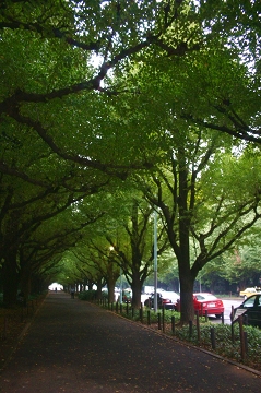 d0018656_21231799.jpg
