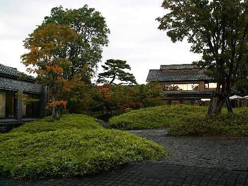 今日の○　カワセミ　昨日の×　雨の信州_c0011365_1736478.jpg