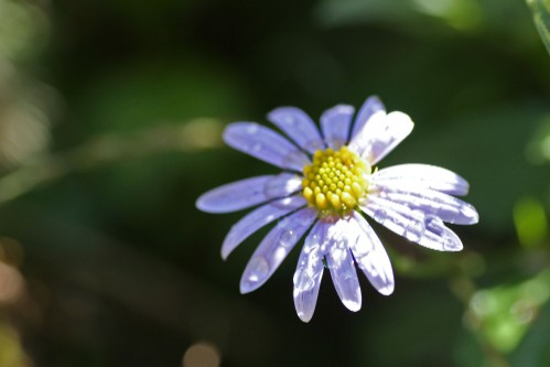 e0027083_2154294.jpg