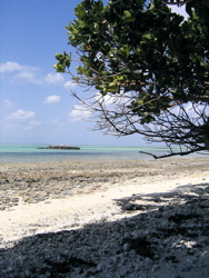 旅ノキロク〜離島へ【2日目】_d0028589_16472951.jpg