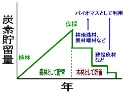 a0004391_1239258.jpg