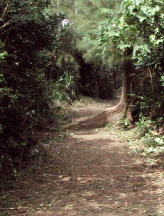 c0015099_13475111.jpg