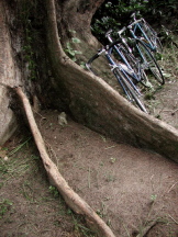 c0015099_13482652.jpg