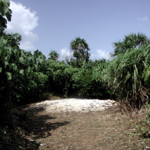 c0015099_1348926.jpg