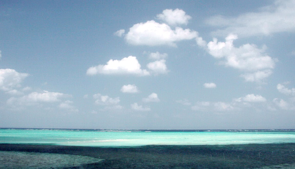c0015099_14214341.jpg