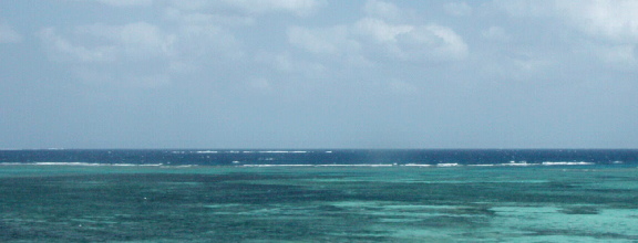 c0015099_14243694.jpg