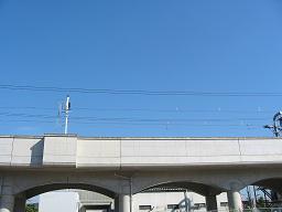 c0009302_1352643.jpg